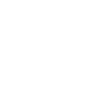 Wasing logo (Basic) white